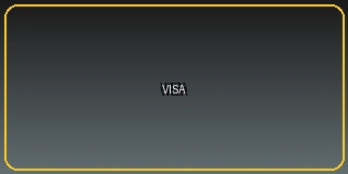 Visa支付